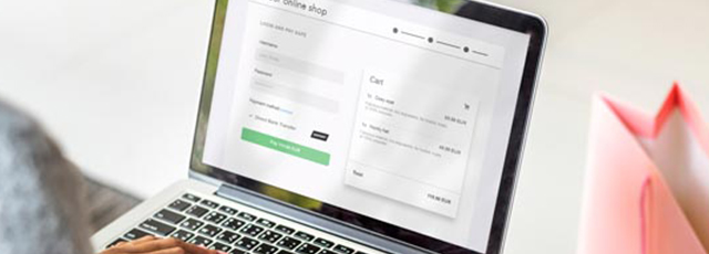 Your solution for Online Bank Transfer. - Micropayment